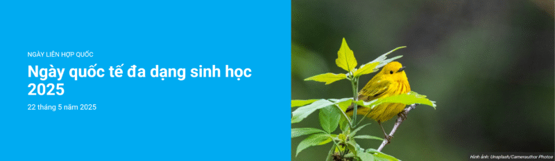 Ngày quốc tế đa dạng sinh học 2025 22 tháng 5 năm 2025