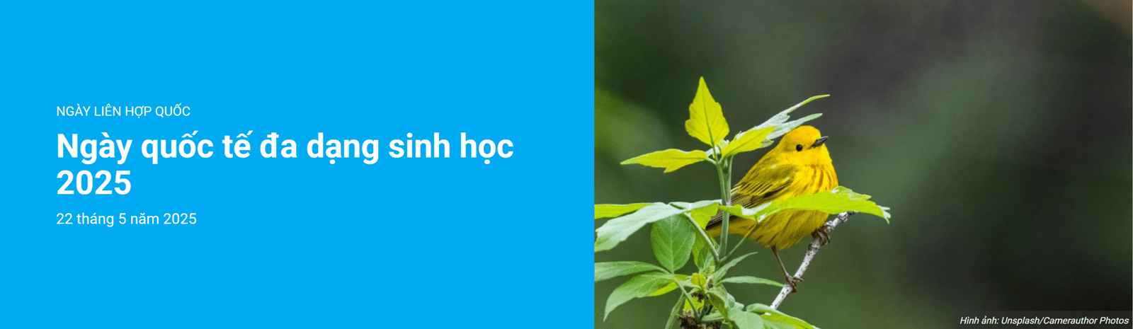 Ngày quốc tế đa dạng sinh học 2025 22 tháng 5 năm 2025